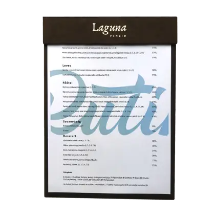 laguna3